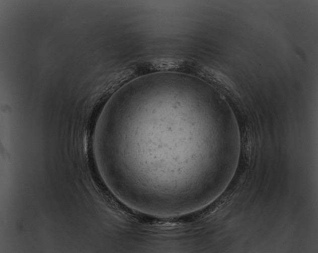 X0000090890315200708031058