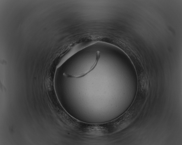 X0000090890316200708031058