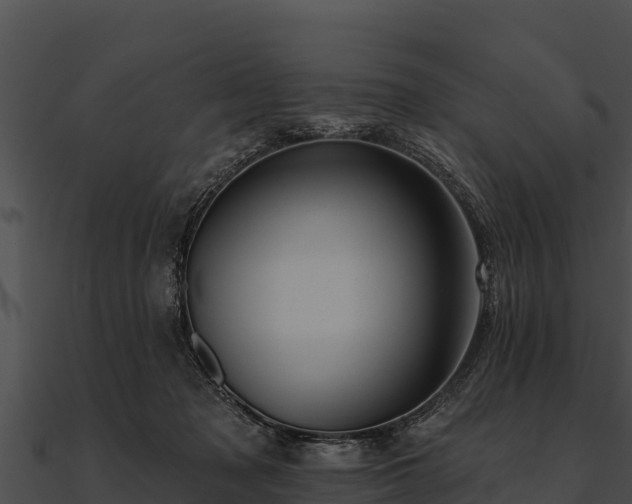 X0000090890317200708031058