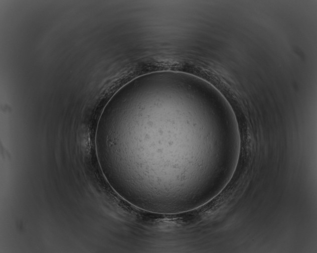 X0000090890320200708031058