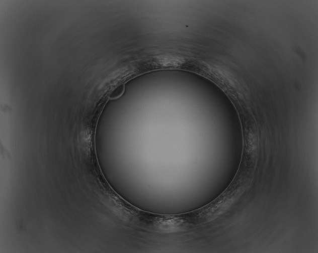 X0000090890321200708031058