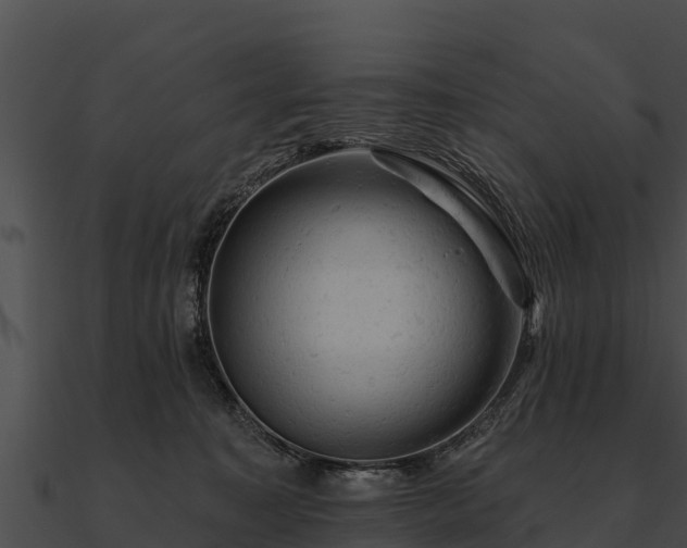 X0000090890323200708031058