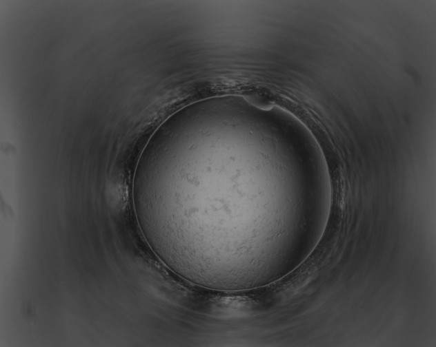 X0000090890324200708031058