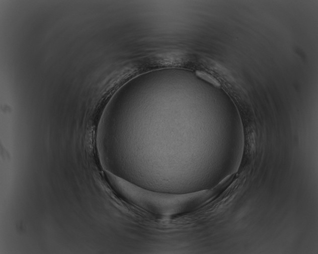 X0000090890325200708031058