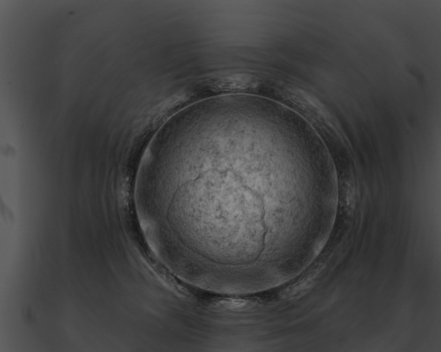 X0000090890326200708031058