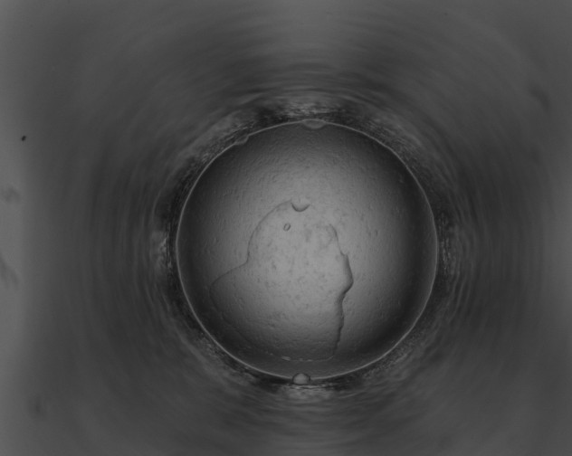 X0000090890327200708031058