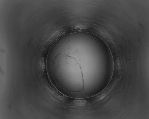 X0000090890328200708031058