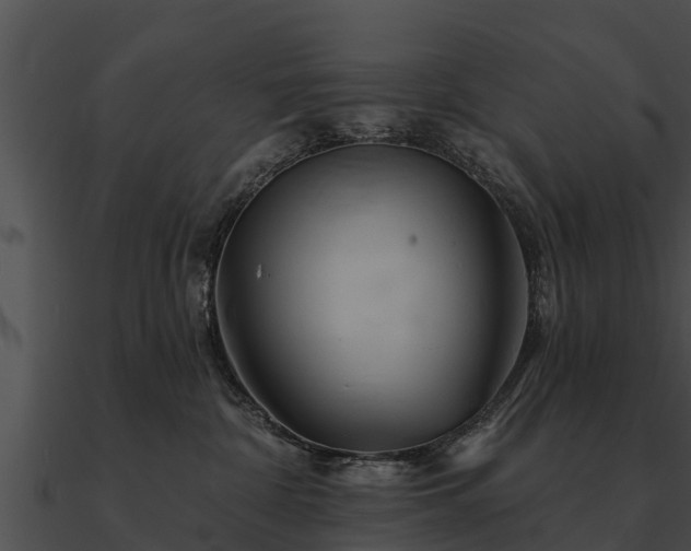 X0000090890332200708031058