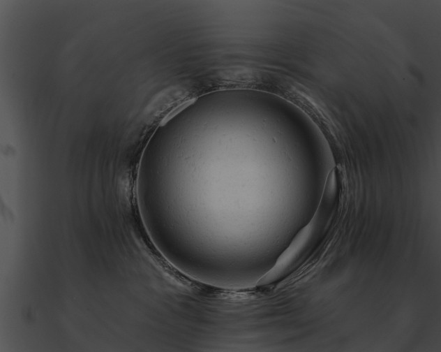 X0000090890333200708031058