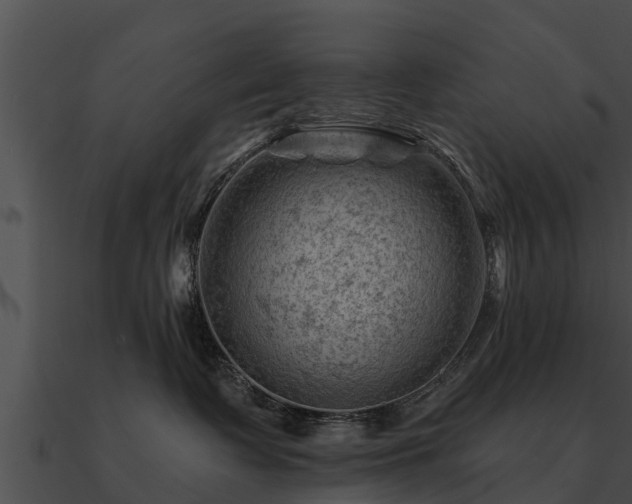 X0000090890335200708031058