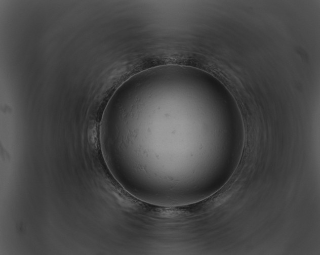 X0000090890336200708031058