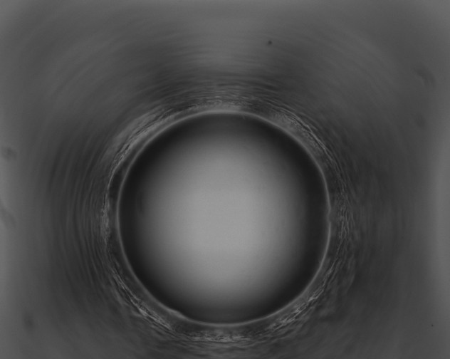 X0000090890338200708031057