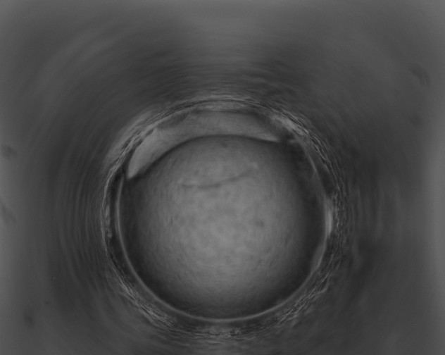 X0000090890339200708031057