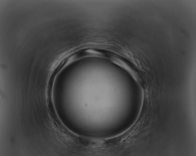 X0000090890340200708031057