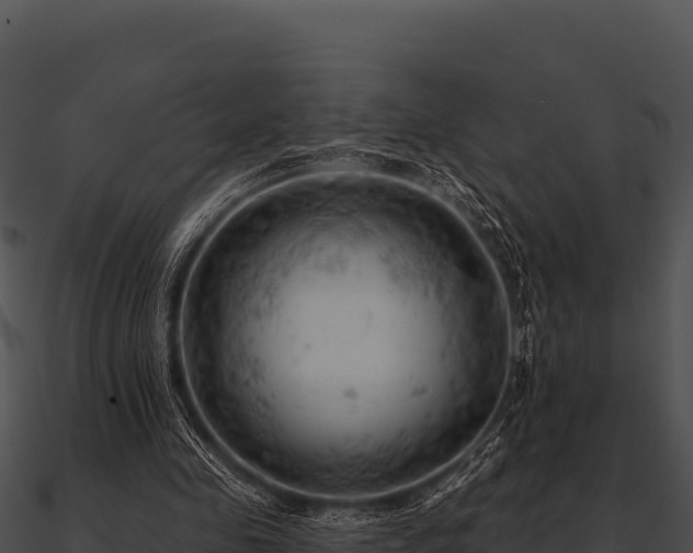 X0000090890341200708031057