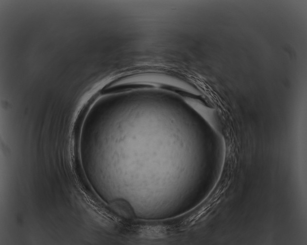 X0000090890342200708031057