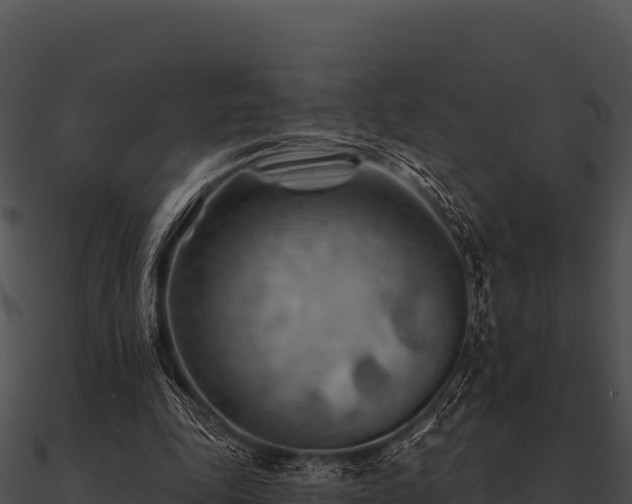 X0000090890343200708031057