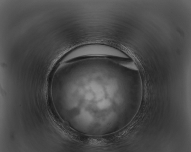 X0000090890346200708031057