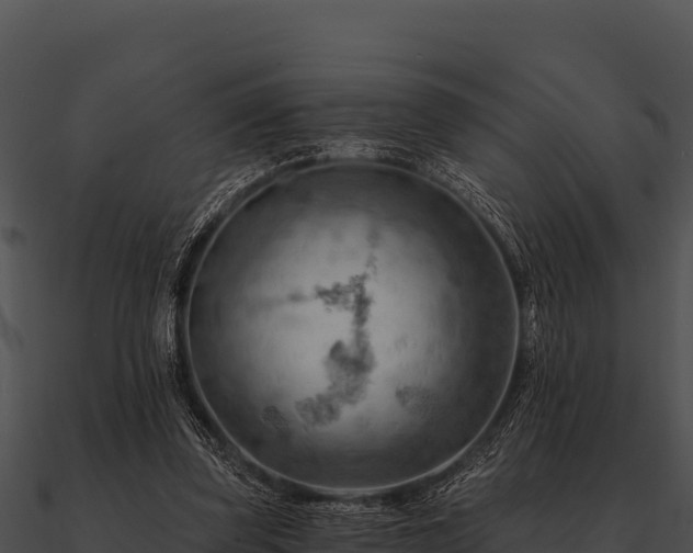 X0000090890347200708031057