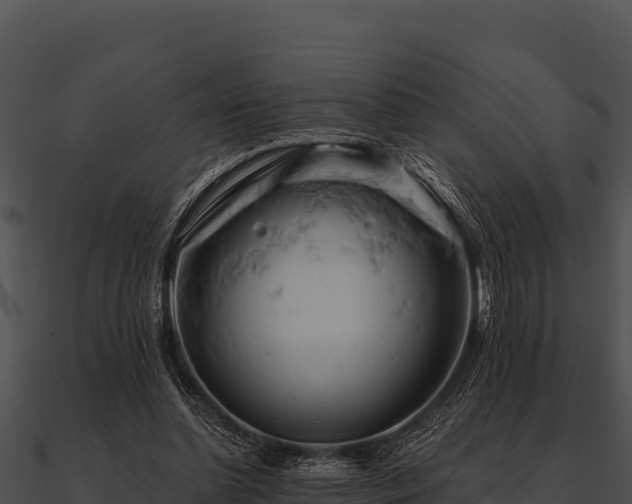 X0000090890348200708031057