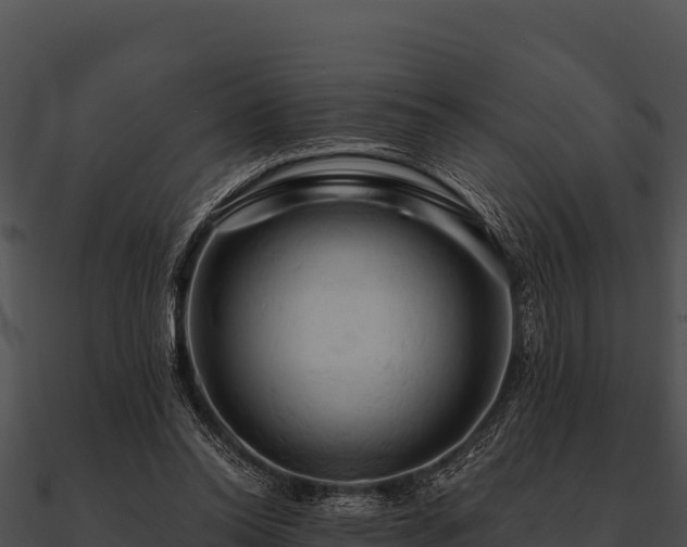 X0000090890350200708031057