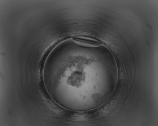 X0000090890351200708031057