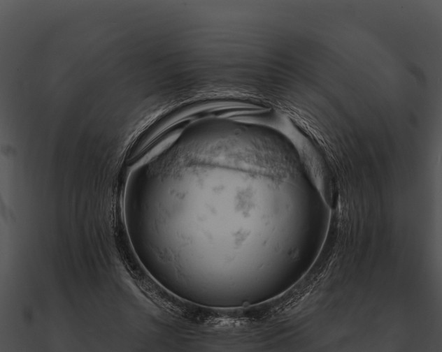 X0000090890352200708031057