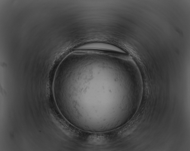 X0000090890354200708031057