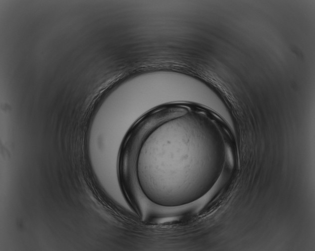 X0000090890356200708031057