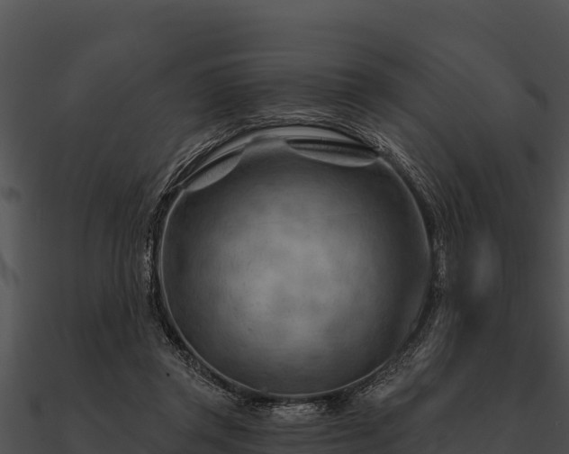 X0000090890357200708031057