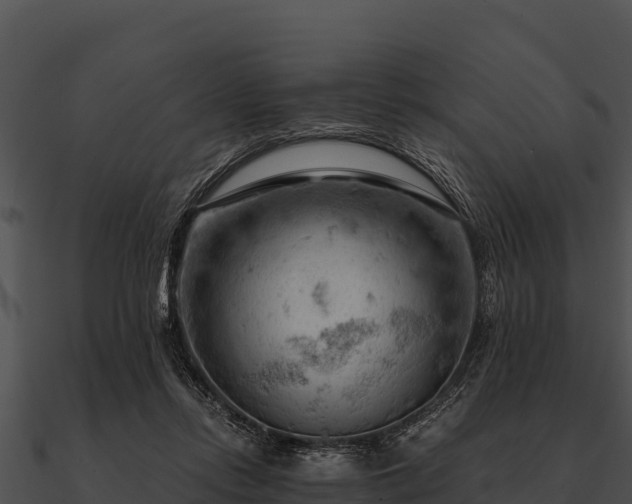 X0000090890358200708031057