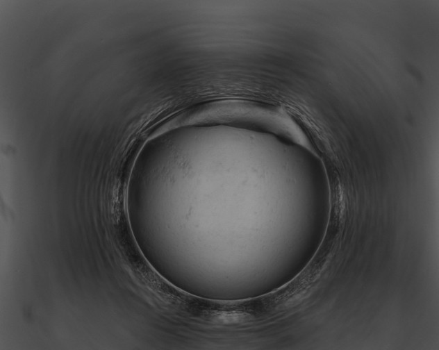 X0000090890360200708031057