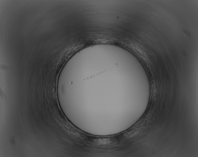 X0000090890361200708031057