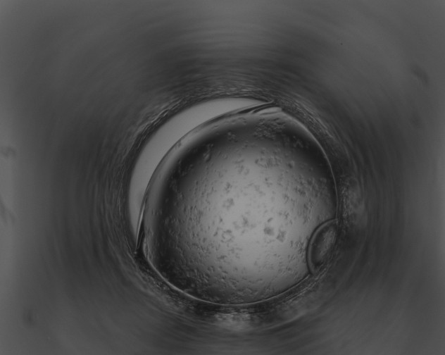 X0000090890362200708031057