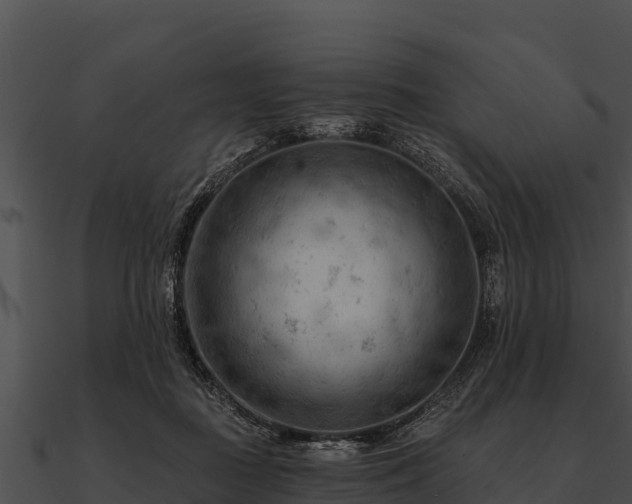 X0000090890363200708031057