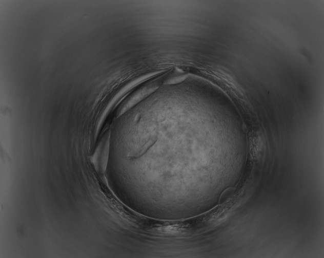 X0000090890365200708031057