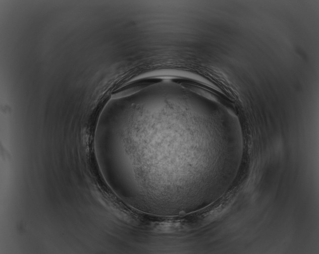 X0000090890366200708031057