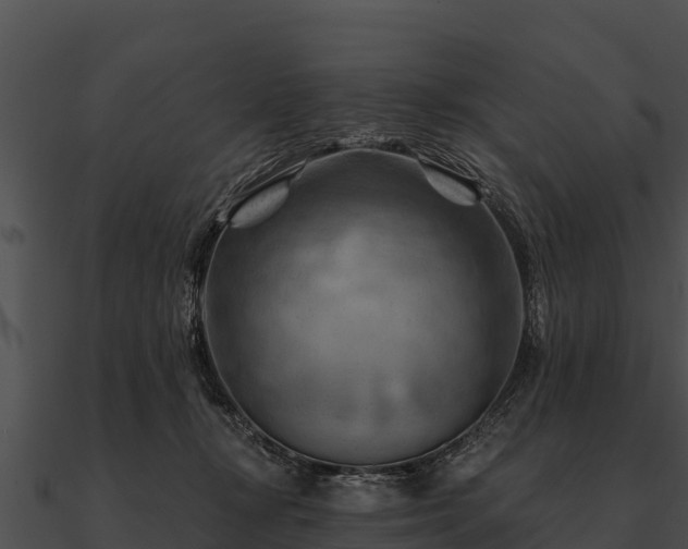 X0000090890367200708031057