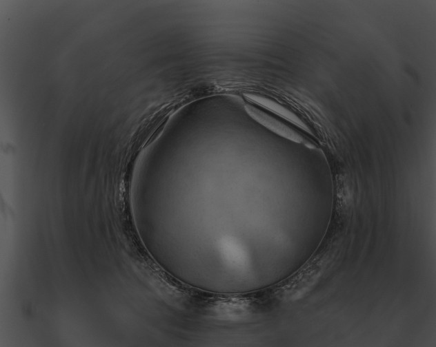 X0000090890369200708031057