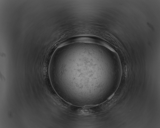 X0000090890372200708031057