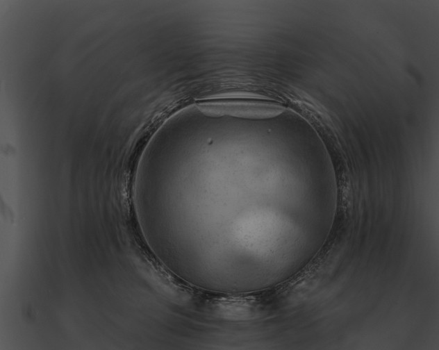 X0000090890373200708031057