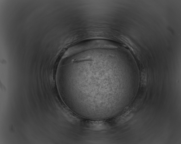 X0000090890377200708031057