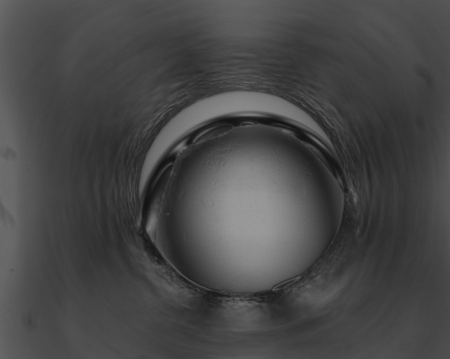 X0000090890380200708031057