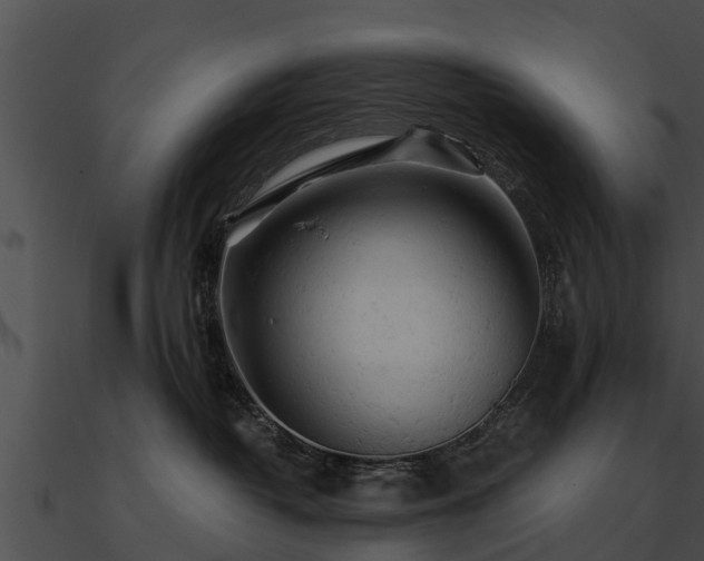 X0000090890382200708031057