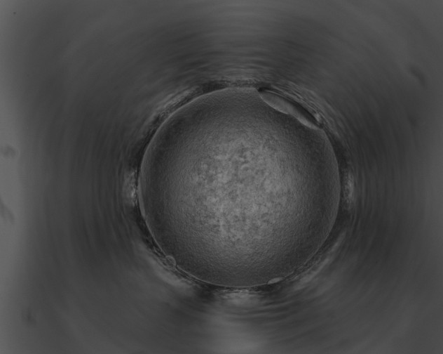 X0000090890383200708031057