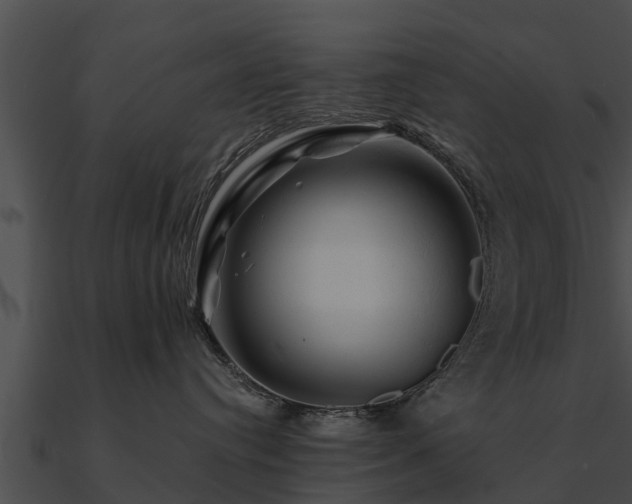 X0000090890384200708031058