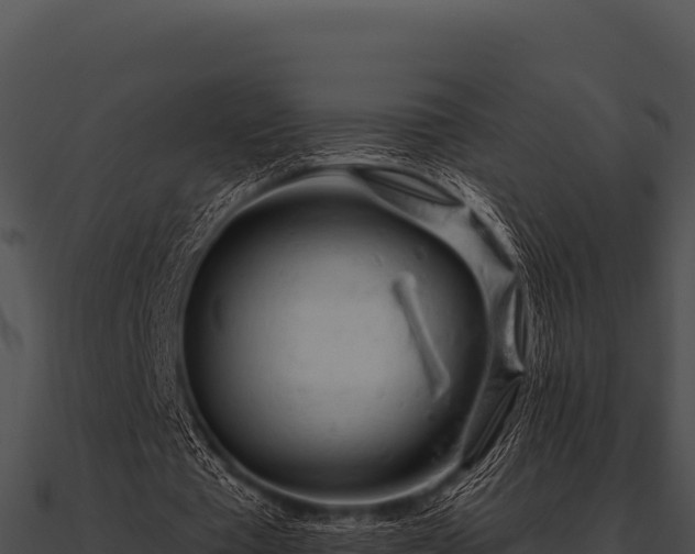 X0000090890385200708031057