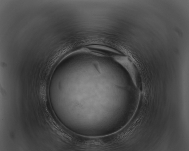 X0000090890386200708031057