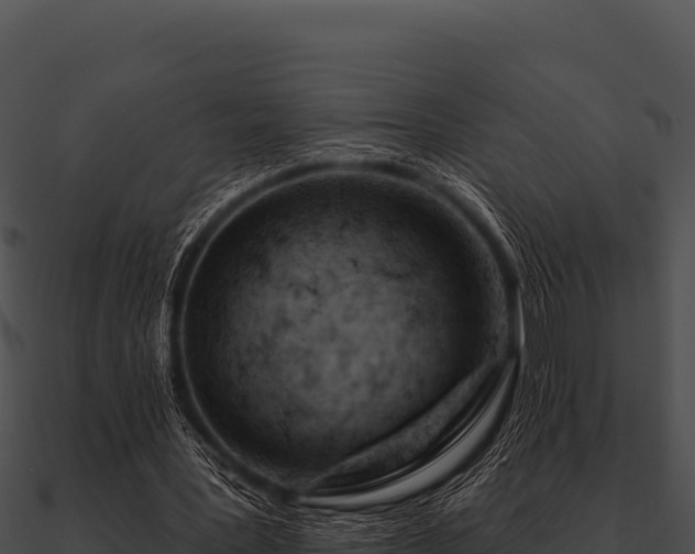 X0000090890387200708031057