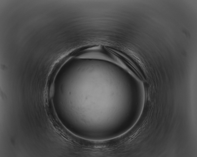 X0000090890388200708031057